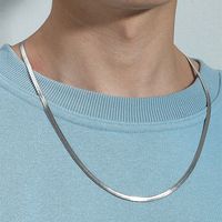 Wholesale Jewelry Flat Snake Bone Chain Titanium Steel Necklace Nihaojewelry sku image 1