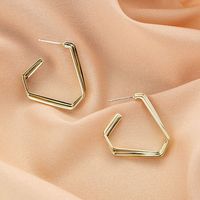 Wholesale Jewelry Fashion Geometric Glossy Earrings Nihaojewelry main image 3
