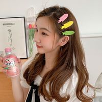 Korean Candy Color Metal Hairpin Wholesale Summer Word Clip Bangs Clip Duckbill Clip Headdress main image 5