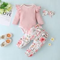 Wholesale Baby Pullover Printed Trouser Suit Nihaojewelry main image 1