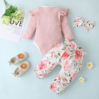 Wholesale Baby Pullover Printed Trouser Suit Nihaojewelry main image 3