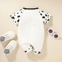 Wholesale Baby Cow Dot Letter Romper Nihaojewelry main image 3