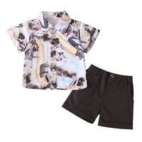 Wholesale Children's Fashion Printing Shirt Shorts Two-piece Suit Nihaojewelry sku image 1