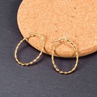 Wholesale Simple U-shaped Rotating Fine Twist Rope Earrings Nihaojewelry main image 3