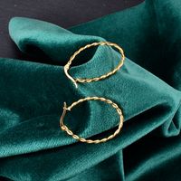 Wholesale Simple U-shaped Rotating Fine Twist Rope Earrings Nihaojewelry main image 4