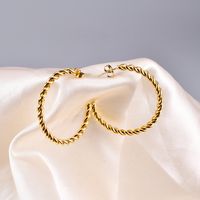 Wholesale Twist Circle Titanium Steel Gold Plated Earrings Nihaojewelry main image 6