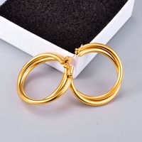 Wholesale Double Thick Wire Titanium Steel Earrings Nihaojewelry main image 5