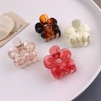 Korean Style Flower Acrylic Catch Clip Wholesale Jewelry Nihaojewelry main image 3