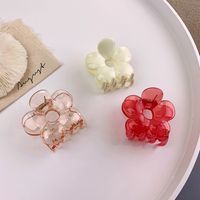 Korean Style Flower Acrylic Catch Clip Wholesale Jewelry Nihaojewelry main image 4