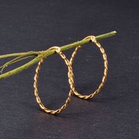 Wholesale Simple U-shaped Rotating Fine Twist Rope Earrings Nihaojewelry sku image 1