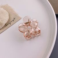 Korean Style Flower Acrylic Catch Clip Wholesale Jewelry Nihaojewelry sku image 1