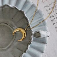 18k Inverted Crescent Horn Titanium Necklace Wholesale Nihaojewelry main image 1