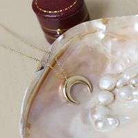 18k Inverted Crescent Horn Titanium Necklace Wholesale Nihaojewelry main image 3
