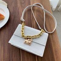 Fashion Fashionable Small Square Bag 2021 Spring And Summer New Chain Women's Bag Shoulder Crossbody Small Handbags One Piece Dropshipping sku image 1