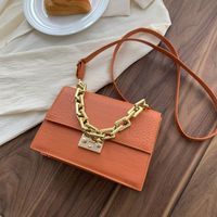 Fashion Fashionable Small Square Bag 2021 Spring And Summer New Chain Women's Bag Shoulder Crossbody Small Handbags One Piece Dropshipping sku image 4