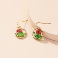 Wholesale Jewelry Fashion Dried Flower Drop Earrings Nihaojewelry main image 4