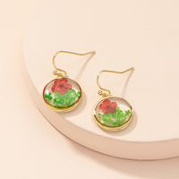 Wholesale Jewelry Fashion Dried Flower Drop Earrings Nihaojewelry main image 5