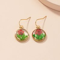 Wholesale Jewelry Fashion Dried Flower Drop Earrings Nihaojewelry sku image 1