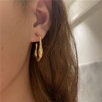 Nihaojewelry Fashion Simple Twisted Hoop Earrings Wholesale Jewelry main image 3