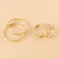 Wholesale Jewelry Retro Alloy Geometric Earrings Hoop Nihaojewelry main image 3