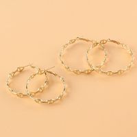 Wholesale Jewelry Retro Alloy Geometric Earrings Hoop Nihaojewelry main image 4