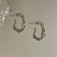 Nihaojewelry Fashion Simple Twisted Hoop Earrings Wholesale Jewelry sku image 2