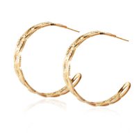 Vente En Gros Bijoux Boucles D&#39;oreilles En Alliage Creux En Forme De C Nihaojewelry sku image 1