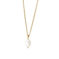 18k Fashion Single Pearl Stainless Steel Chain Necklace Wholesale Nihaojewelry main image 6
