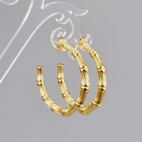 Pendientes De Acero De Titanio Chapados En Oro En Forma De C Al Por Mayor Nihaojewelry main image 6