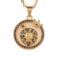New Fashion Fritillary Twelve Constellation Pendant Necklace Wholesale Nihaojewelry sku image 5