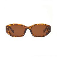 Elegant Glam Hip-hop Women's Sunglasses main image 3