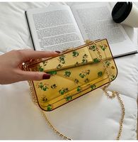 New Fashion Transparent Arcylic Printing One-shoulder Messenger Small Square Clutch Bag Wholesale Nihaojewelry main image 4