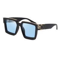 Fashion New Style Big Frame Sunglasses sku image 4