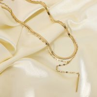 Simple Stainless Steel Double Snake Chain Rope Necklace Wholesale Nihaojewelry main image 6