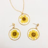 Wholesale Jewelry Small Daisy Transparent Round Pendant Necklace Earrings Nihaojewelry main image 1