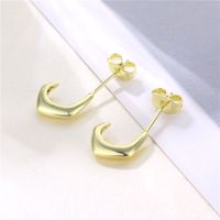 Wholesale Jewelry Irregular C-shaped Stud Earrings Nihaojewelry main image 3