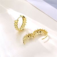 Wholesale Jewelry Twist Pattern C-shaped Earrings Nihaojewelry main image 5