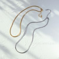 18k Retro Snake Knochen Flach Kette Titan Stahl Halskette Großhandel Nihao Schmuck main image 4