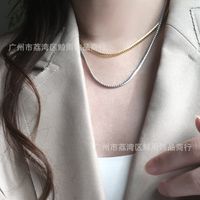 18k Retro Snake Bone Flat Chain Titanium Steel Necklace Wholesale Nihaojewelry main image 5