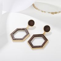 1 Pair Elegant Simple Style Geometric Asymmetrical Irregular Alloy Wood Drop Earrings main image 5