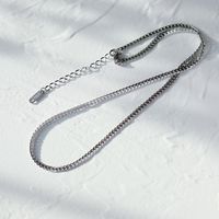 18k Retro Snake Bone Flat Chain Titanium Steel Necklace Wholesale Nihaojewelry sku image 1