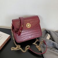 New Small Bag Women's 2021 Spring New Korean Style Retro Simple Shoulder Bag Crocodile Pattern Chain Messenger Bag main image 1