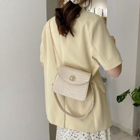 New Small Bag Women's 2021 Spring New Korean Style Retro Simple Shoulder Bag Crocodile Pattern Chain Messenger Bag main image 4