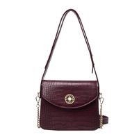 Neue Kleine Tasche Frauen 2021 Frühling Neue Koreanische Retro Einfache Umhängetasche Krokodil Muster Kette Messenger Frauen Tasche main image 3