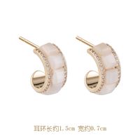 925 Silver Needle Popular Cat's Eye Earrings Korean Simple And Elegant Earrings New Wholesale Nihaojewelry sku image 11
