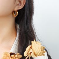 Großhandel Einfache Titanstahl Überzogene Unregelmäßige Ohrringe Aus 18 Karat Gold Nihaojewelry main image 5