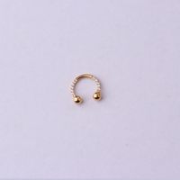 Nose Rings & Studs Fashion Geometric 316 Stainless Steel  Plating main image 6