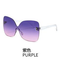 New Korean Simple Style Fashion Big Frame Sunglasses sku image 1