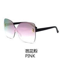 New Korean Simple Style Fashion Big Frame Sunglasses sku image 4