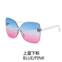 New Korean Simple Style Fashion Big Frame Sunglasses sku image 5